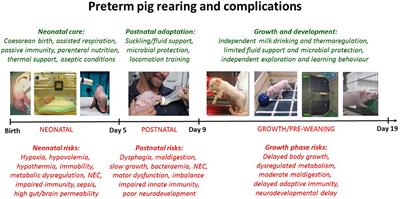 Sex-Specific Survival, Growth, Immunity and Organ Development in Preterm Pigs as Models for Immature Newborns